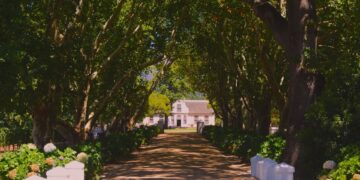 Winery in the Cape Winelands