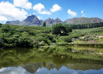 Scenery in Franschhoek