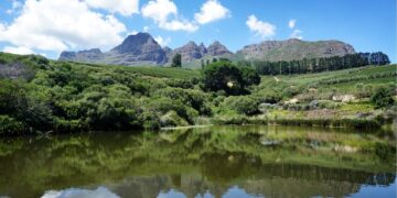 Scenery in Franschhoek