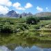 Scenery in Franschhoek