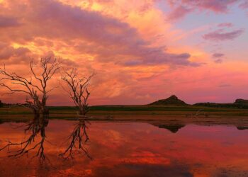 Free State landscape