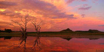 Free State landscape