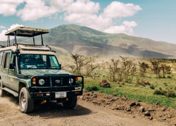 Game drives in Addo Elephant National Park