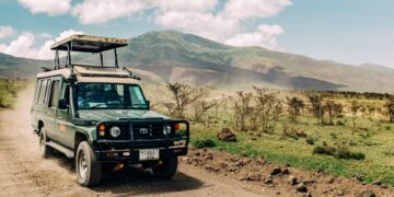 Game drives in Addo Elephant National Park