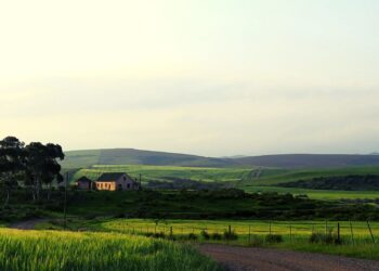 Farm in Greyton