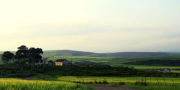 Farm in Greyton