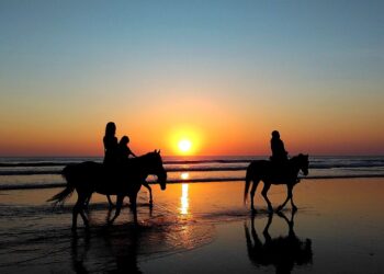 Ride horses in East London