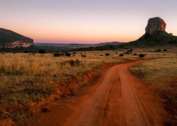 a Limpopo landscape