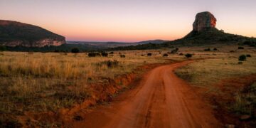 a Limpopo landscape