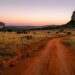 a Limpopo landscape