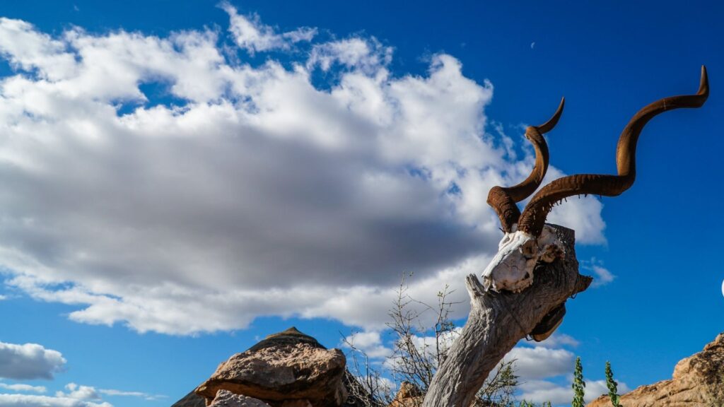 Mapungubwe national park Bela-Bela heritage