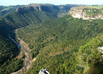 The South Coast Oribi Gorge