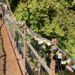 Suspension bridge in Parys