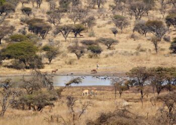 Polokwane Game Reserve