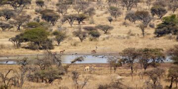 Polokwane Game Reserve