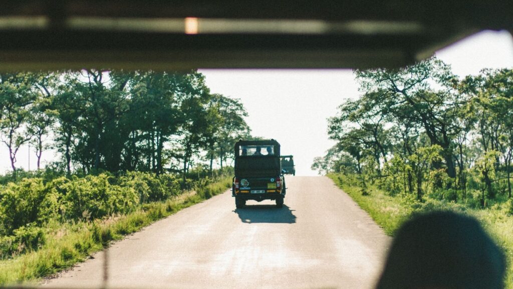 Kruger National Park game drive