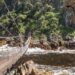 Storms River Suspension bridge