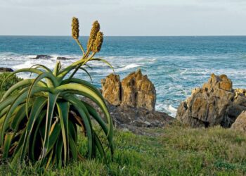 South Coast KwaZulu-Natal