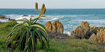 South Coast KwaZulu-Natal