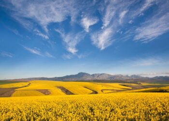 The Cape Overberg