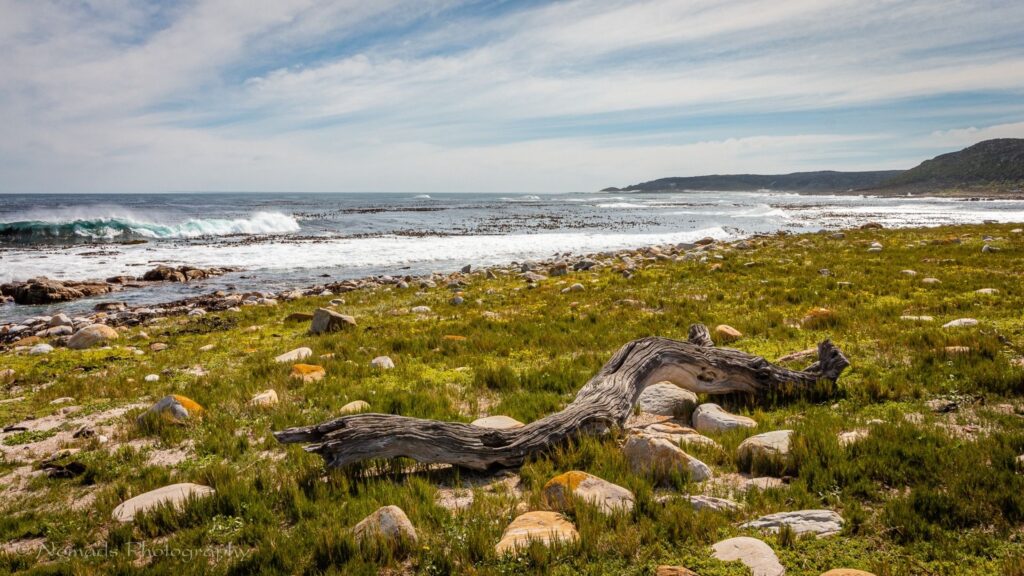 Cape point hike cape town