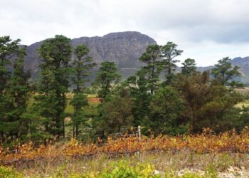 Franschhoek Cape Winelands