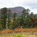 Franschhoek Cape Winelands