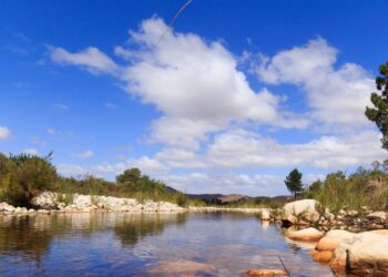 Greyton Cape Overberg