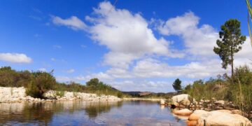 Greyton Cape Overberg