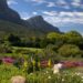 Kirstenbosch garden