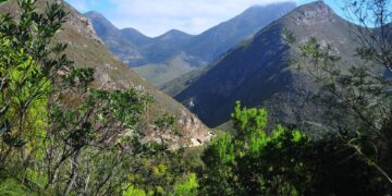 George South Africa