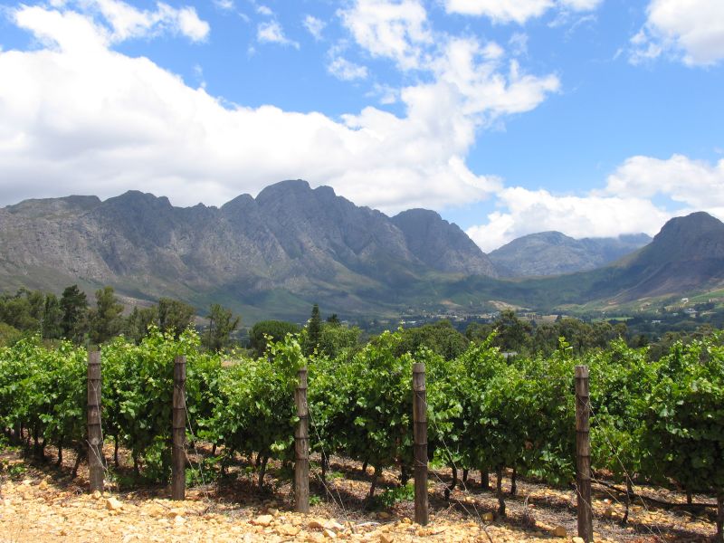 Paarl Cape Winelands