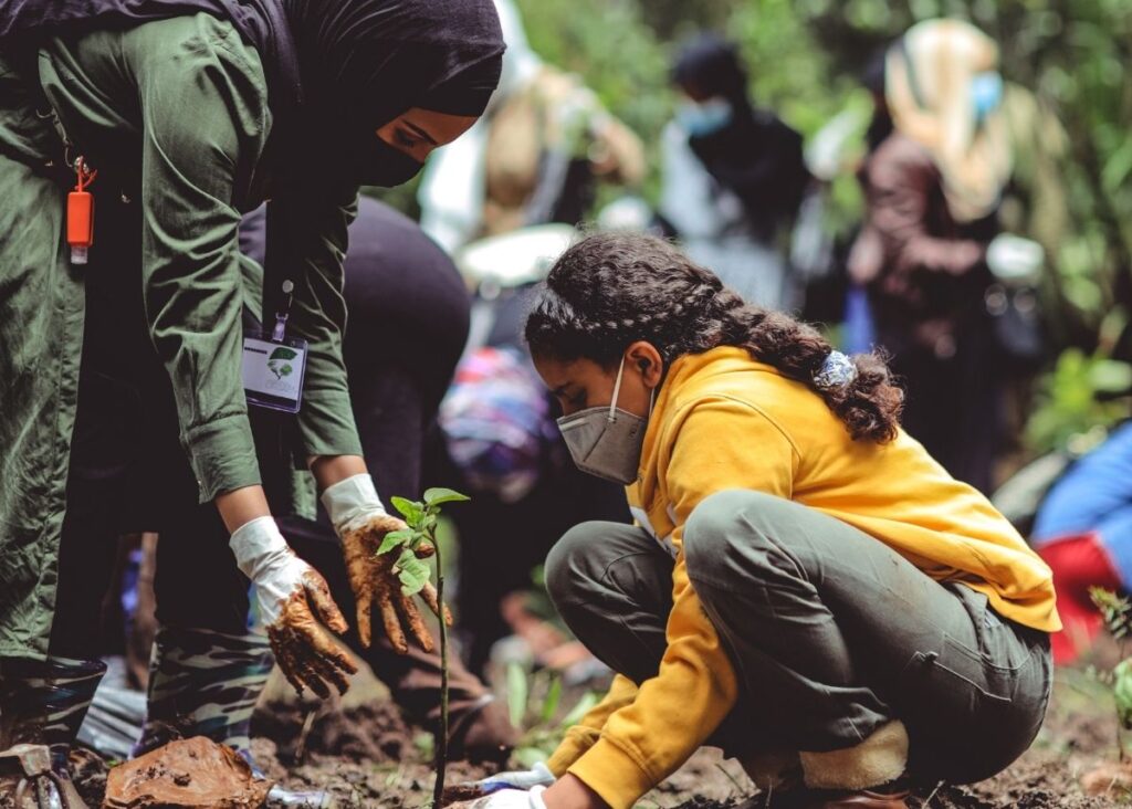 Planting trees saves the future