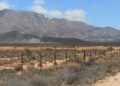 Route 62 landscape