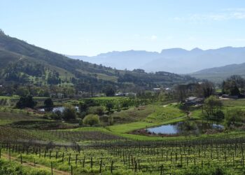 Stellenbosch landscape