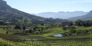 Stellenbosch landscape