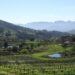 Stellenbosch landscape