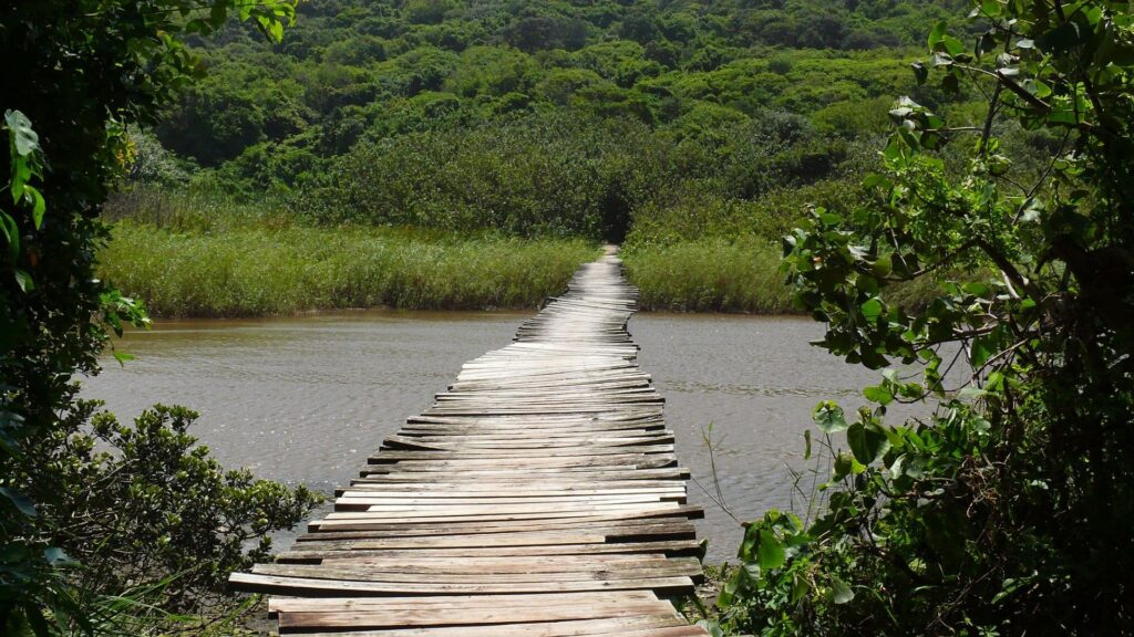 Umhlanga Lagoon Nature Reserve in Durban