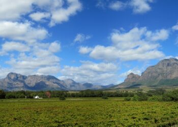 Cape Winelands South Africa