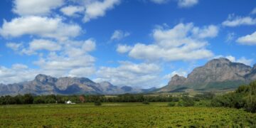 Cape Winelands South Africa