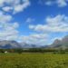 Cape Winelands South Africa