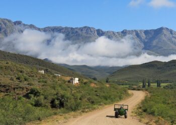 Karoo landscapes