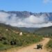 Karoo landscapes