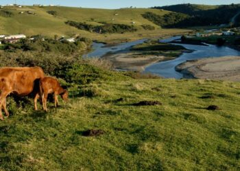 Coffee Bay on the Wild Coast