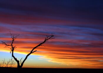 Kalahari, Northern Cape