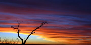 Kalahari, Northern Cape