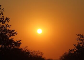 Kruger National Park sunrise