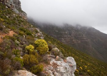 Table Mountain National Park Cape Town