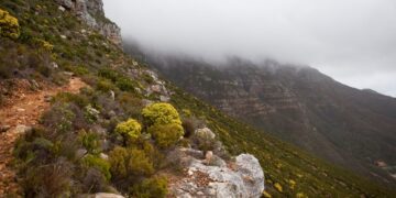 Table Mountain National Park Cape Town