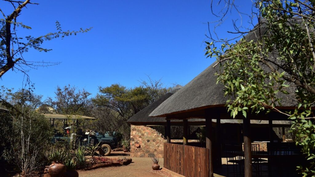 Madikwe game reserve